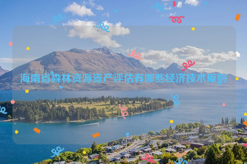 海南省森林資源資產評估有哪些經濟技術原則