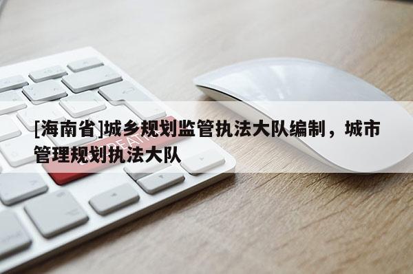 [海南省]城鄉規劃監管執法大隊編制，城市管理規劃執法大隊