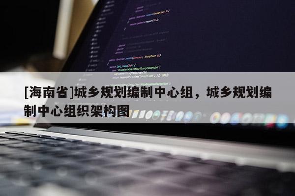 [海南省]城鄉規劃編制中心組，城鄉規劃編制中心組織架構圖