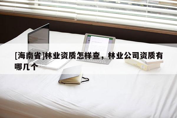 [海南省]林業資質怎樣查，林業公司資質有哪幾個
