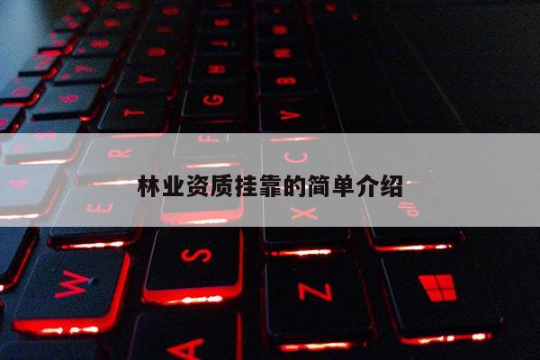 林業(yè)資質掛靠的簡單介紹