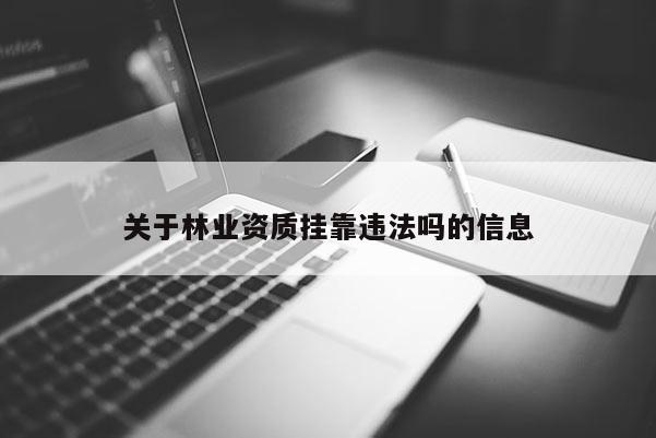 關于林業資質掛靠違法嗎的信息