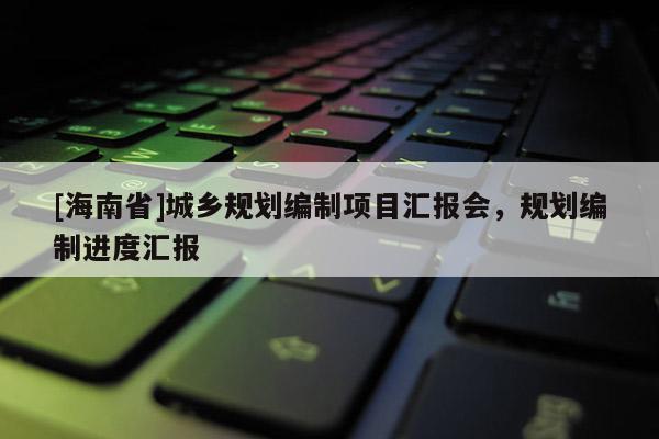 [海南省]城鄉規劃編制項目匯報會，規劃編制進度匯報