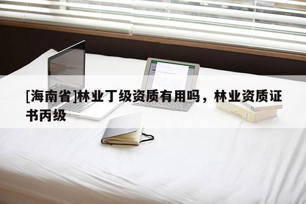 [海南省]林業丁級資質有用嗎，林業資質證書丙級