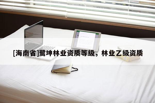 [海南省]鷺坤林業資質等級，林業乙級資質