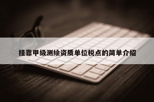 掛靠甲級測繪資質單位稅點的簡單介紹