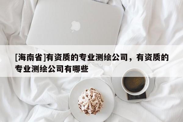 [海南省]有資質的專業測繪公司，有資質的專業測繪公司有哪些