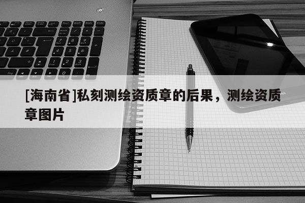 [海南省]私刻測繪資質章的后果，測繪資質章圖片