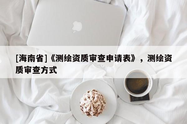 [海南省]《測繪資質(zhì)審查申請表》，測繪資質(zhì)審查方式