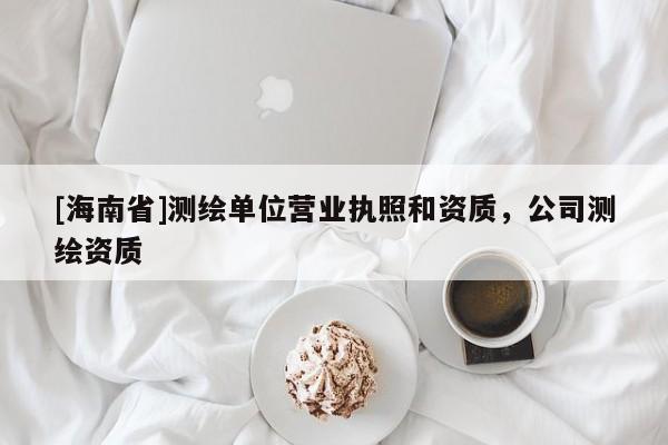 [海南省]測繪單位營業執照和資質，公司測繪資質