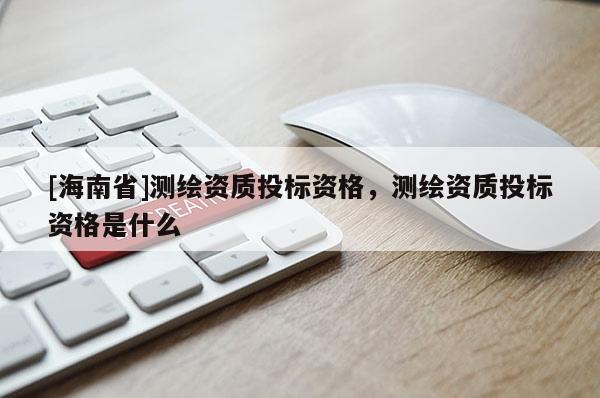 [海南省]測繪資質投標資格，測繪資質投標資格是什么