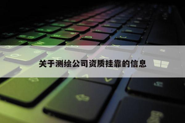 關于測繪公司資質掛靠的信息