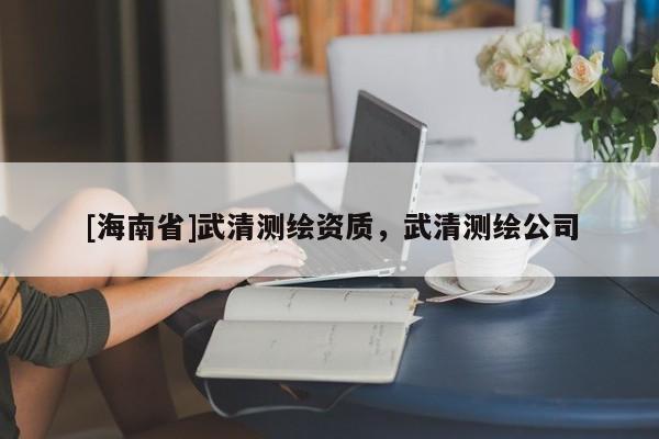 [海南省]武清測(cè)繪資質(zhì)，武清測(cè)繪公司