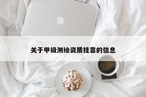 關于甲級測繪資質掛靠的信息