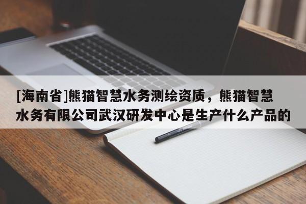 [海南省]熊貓智慧水務測繪資質，熊貓智慧水務有限公司武漢研發中心是生產什么產品的