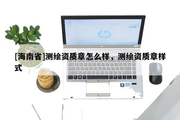 [海南省]測繪資質章怎么樣，測繪資質章樣式