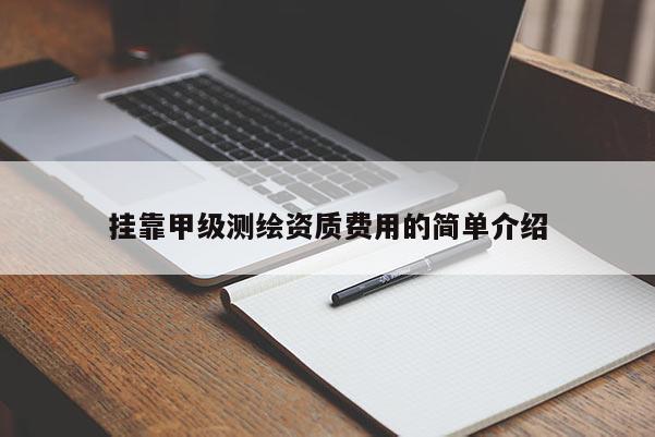 掛靠甲級測繪資質(zhì)費用的簡單介紹