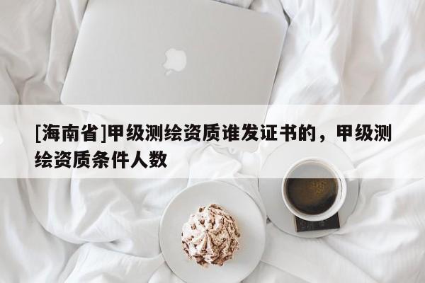 [海南省]甲級測繪資質誰發證書的，甲級測繪資質條件人數
